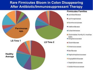 Rare Firmicutes Bloom in Colon Disappearing
After Antibiotic/Immunosuppressant Therapy
Firmicutes Families

Parvimonas
spp.

LS Time 1

Healthy
Average

LS Time 2

 