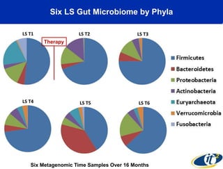 Six LS Gut Microbiome by Phyla

Therapy

Six Metagenomic Time Samples Over 16 Months

 