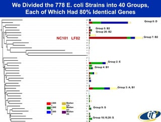 We Divided the 778 E. coli Strains into 40 Groups,
Each of Which Had 80% Identical Genes
Group 0: D
Group 5: B2
Group 26: B2
Group 7: B2

NC101 LF82

Group 2: E
Group 4: B1

Group 3: A, B1

LS00
1
LS00
2
LS00
3

Median
CD
Median
UC
Median
HE

Group 9: S

Group 18,19,20: S

 