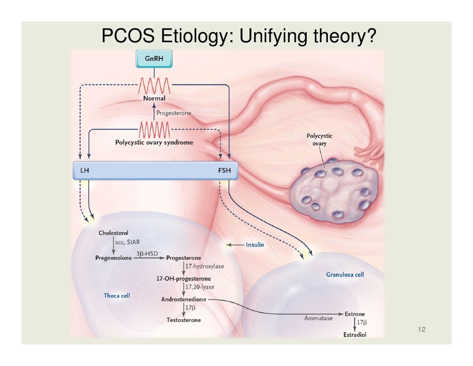 Natural Treatment Pcos Acne Natural Treatment Pcos Acne