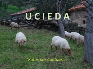 U C I E D A *Rutas por Cantabria. 