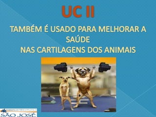 UC II - COLÁGENO TIPO 2