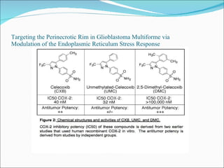 Targeting the Perinecrotic Rim in Glioblastoma Multiforme via  Modulation of the Endoplasmic Reticulum Stress Response 