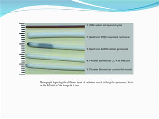 Photograph depicting the different types of catheters tested in the gel experiments. Scale on the left side of the image is 1 mm. 