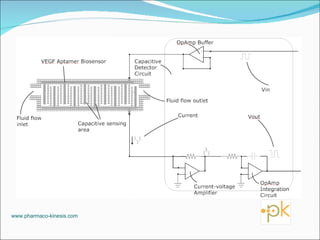 Fig. 3B www.pharmaco-kinesis.com 