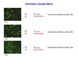 Exp1
X1
RV
x1 = 55%
Observed Value
Exp2
X2
RV
x2 = 75%
Observed Value
Exp3
X3
RV
x3 = 95%
Observed Value
Transfection efficiency after 24h
Transfection efficiency after 24h
Transfection efficiency after 24h
Estimators: Sample Mean
 