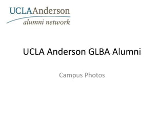 UCLA Anderson GLBA Alumni Campus Photos 