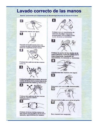 Lavado correcto de las manos
Material suministrado por el Departamento de Microbiología-Decanato de Ciencias de la Salud

4

 