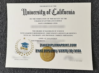 UCLA fake degree.pdf