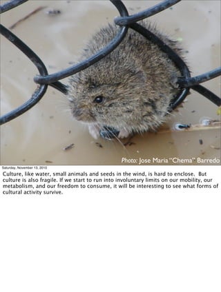 Photo: Jose Maria “Chema” Barredo
Saturday, November 13, 2010
Culture, like water, small animals and seeds in the wind, is...