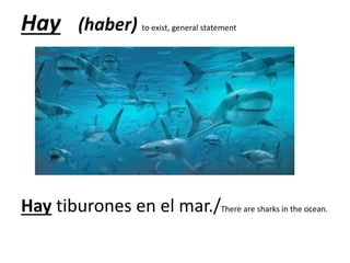 Hay (haber) to exist, general statement
Hay tiburones en el mar./There are sharks in the ocean.
 
