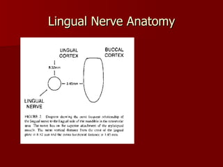 Lingual Nerve Anatomy Pogrel MA, Renaut A, Schmidt B, Ammar A. The relationship of the lingual nerve to the mandibular third molar region: an anatomic study.  J Oral Maxillofacial Surgery,  1995, pp. 1178-81. 