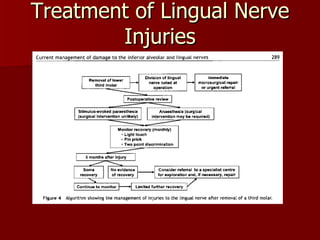 Treatment of Lingual Nerve Injuries Robinson PP, Alison RL, Julian MY, Smith KG. Current management of damage to the inferior alveolar  and lingual nerves as a result of removal of third molars.  British Journal of Oral and  Maxillofacial Surgery , 2004; 42, 285-292 