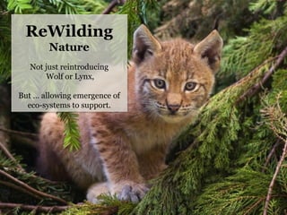 ReWilding
Nature
Not just reintroducing
Wolf or Lynx,
But … allowing emergence of
eco-systems to support.	
  
	
  
 