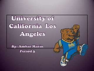 University of California  Los Angeles   By: Ambar Marin Period 5  