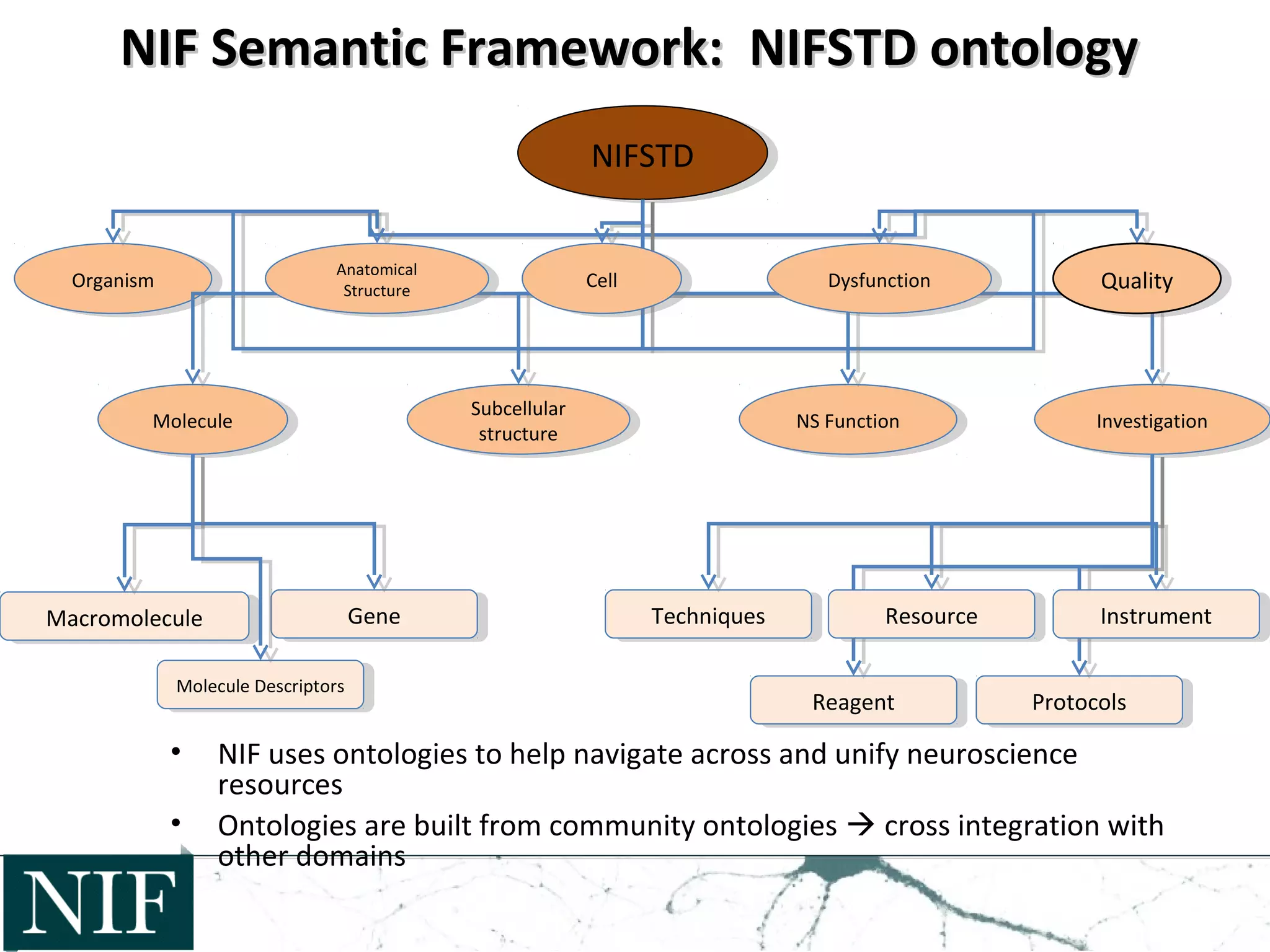 NIF Semantic Framework: NIFSTD ontologyNIF Semantic Framework: NIFSTD ontology
• NIF uses ontologies to help navigate across and unify neuroscience
resources
• Ontologies are built from community ontologies  cross integration with
other domains
NIFSTDNIFSTD
OrganismOrganism
NS FunctionNS FunctionMoleculeMolecule InvestigationInvestigationSubcellular
structure
Subcellular
structure
MacromoleculeMacromolecule GeneGene
Molecule DescriptorsMolecule Descriptors
TechniquesTechniques
ReagentReagent ProtocolsProtocols
CellCell
ResourceResource InstrumentInstrument
DysfunctionDysfunction QualityQualityAnatomical
Structure
Anatomical
Structure
 
