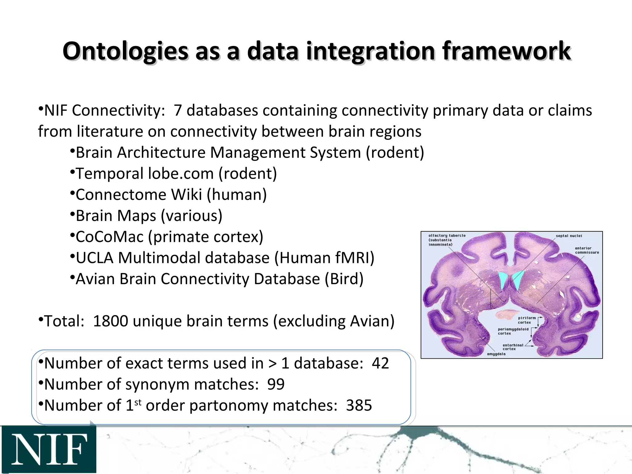 Ontologies as a data integration frameworkOntologies as a data integration framework
•NIF Connectivity: 7 databases containing connectivity primary data or claims
from literature on connectivity between brain regions
•Brain Architecture Management System (rodent)
•Temporal lobe.com (rodent)
•Connectome Wiki (human)
•Brain Maps (various)
•CoCoMac (primate cortex)
•UCLA Multimodal database (Human fMRI)
•Avian Brain Connectivity Database (Bird)
•Total: 1800 unique brain terms (excluding Avian)
•Number of exact terms used in > 1 database: 42
•Number of synonym matches: 99
•Number of 1st
order partonomy matches: 385
 