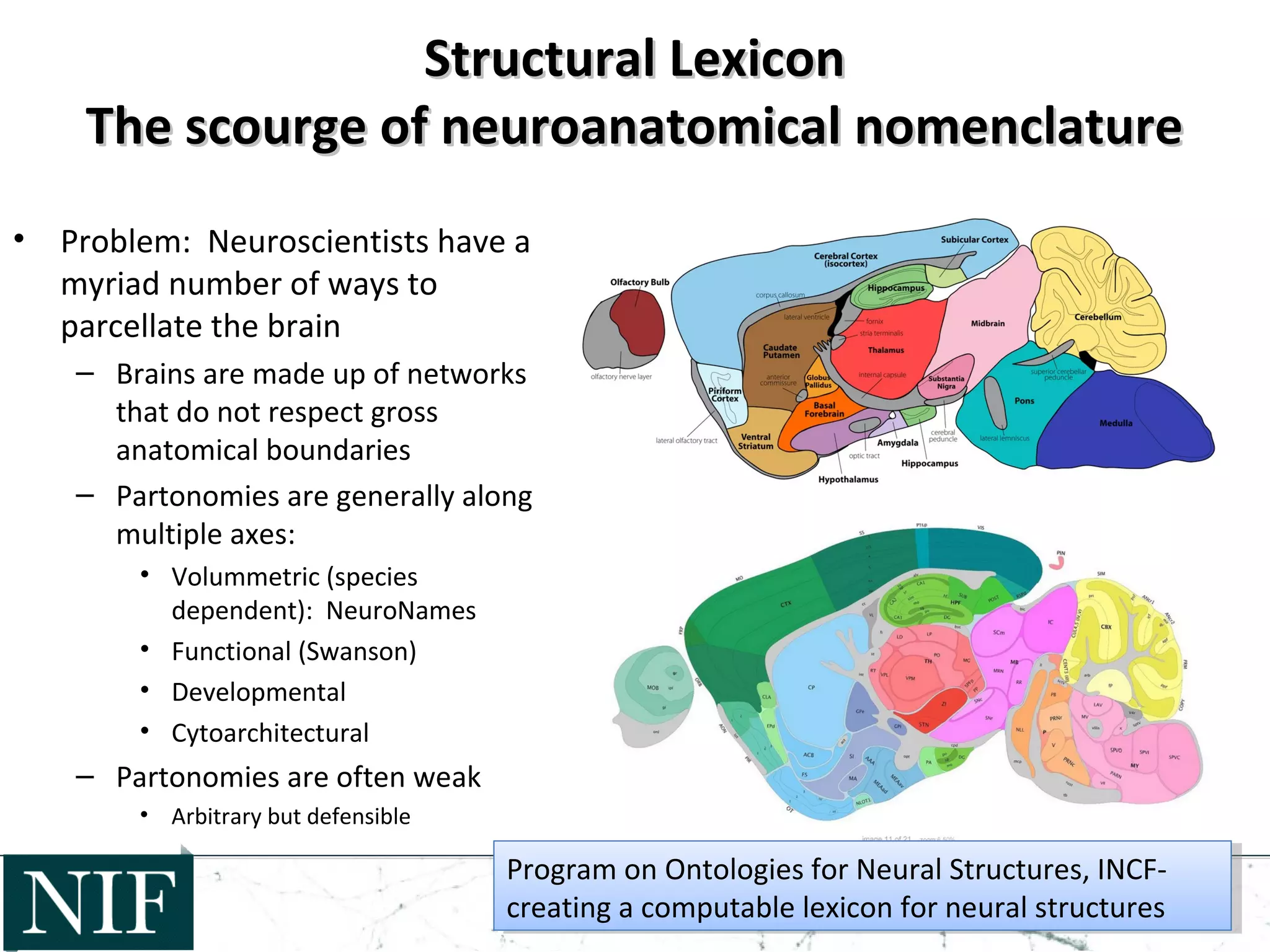 Structural LexiconStructural Lexicon
The scourge of neuroanatomical nomenclatureThe scourge of neuroanatomical nomenclature
• Problem: Neuroscientists have a
myriad number of ways to
parcellate the brain
– Brains are made up of networks
that do not respect gross
anatomical boundaries
– Partonomies are generally along
multiple axes:
• Volummetric (species
dependent): NeuroNames
• Functional (Swanson)
• Developmental
• Cytoarchitectural
– Partonomies are often weak
• Arbitrary but defensible
Program on Ontologies for Neural Structures, INCF-
creating a computable lexicon for neural structures
Program on Ontologies for Neural Structures, INCF-
creating a computable lexicon for neural structures
 