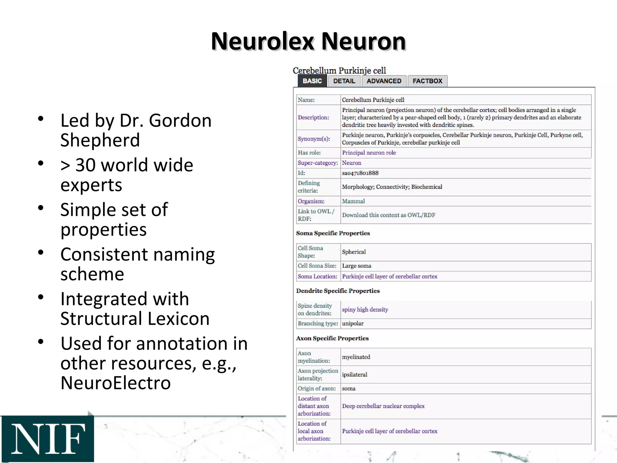 Neurolex NeuronNeurolex Neuron
• Led by Dr. Gordon
Shepherd
• > 30 world wide
experts
• Simple set of
properties
• Consistent naming
scheme
• Integrated with
Structural Lexicon
• Used for annotation in
other resources, e.g.,
NeuroElectro
 
