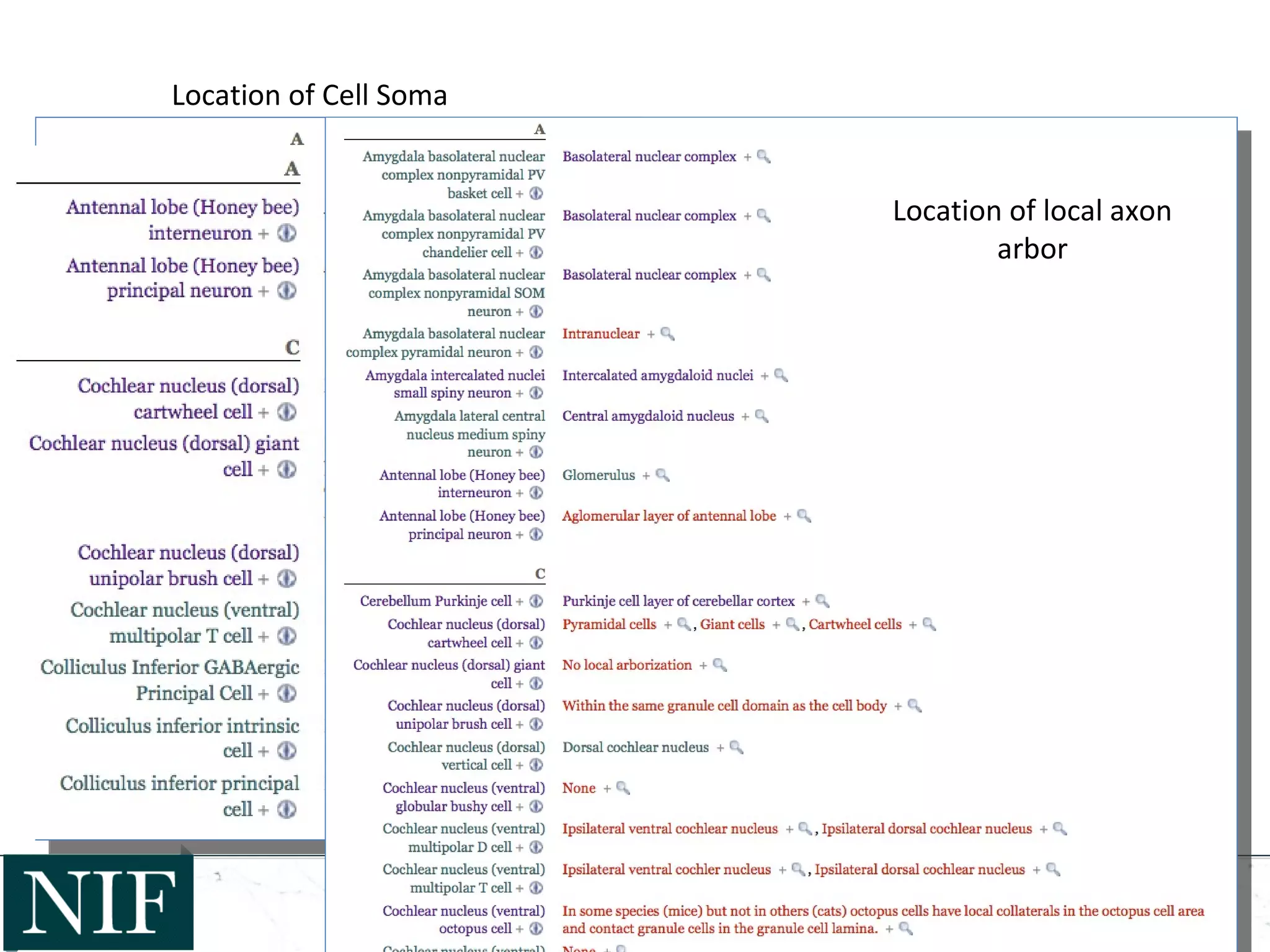 Location of Cell Soma
Location of dendrites
Location of local axon
arbor
 