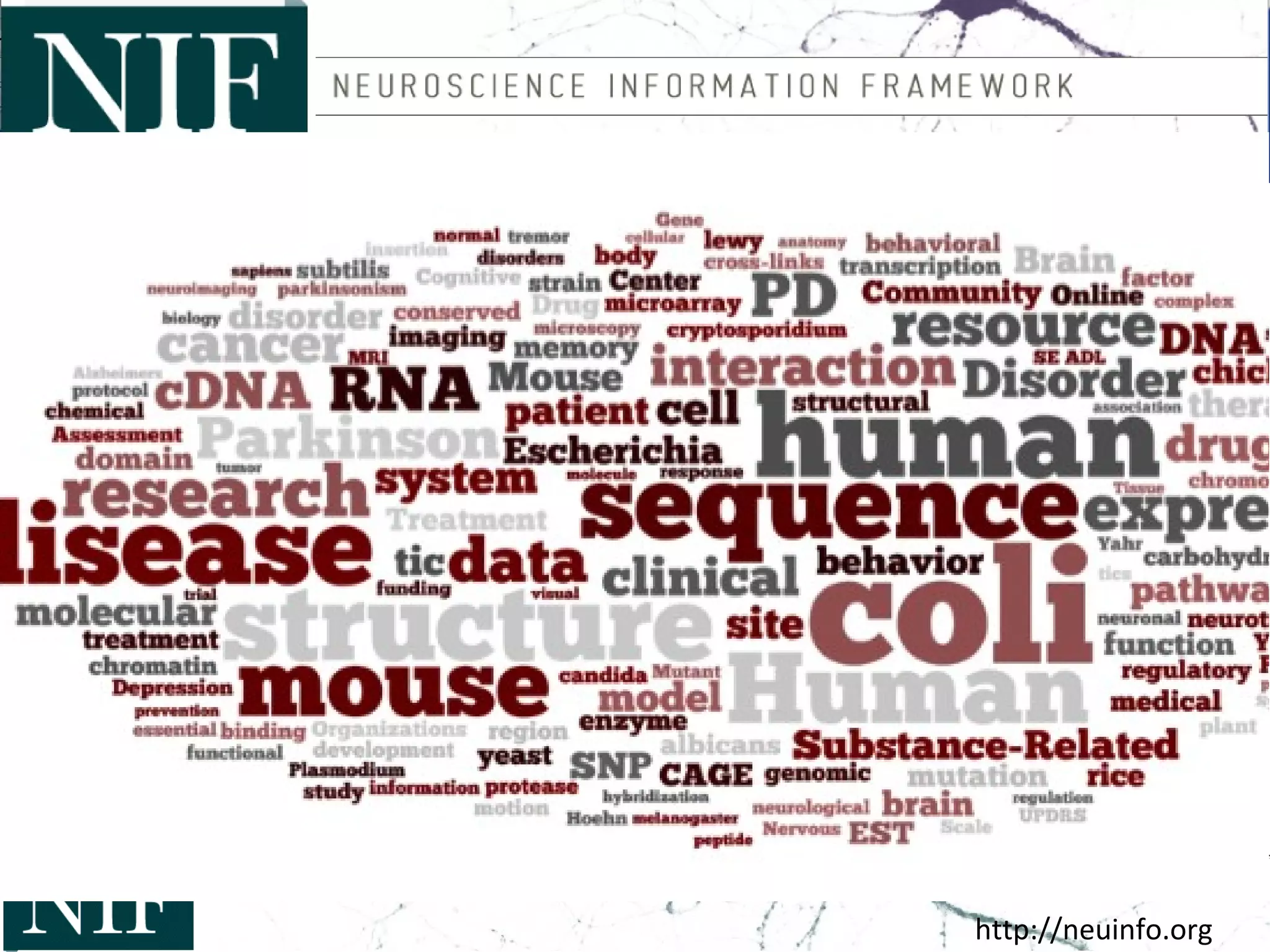 • NIF is an initiative of the NIH Blueprint consortium of institutesNIF is an initiative of the NIH Blueprint consortium of institutes
– What types of resources (data, tools, materials, services) are available to theWhat types of resources (data, tools, materials, services) are available to the
neuroscience community?neuroscience community?
– How many are there?How many are there?
– What domains do they cover? What domains do they not cover?What domains do they cover? What domains do they not cover?
– Where are they?Where are they?
• Web sitesWeb sites
• DatabasesDatabases
• LiteratureLiterature
• Supplementary materialSupplementary material
– Who uses them?Who uses them?
– Who creates them?Who creates them?
– How can we find them?How can we find them?
– How can we make them better in the future?How can we make them better in the future?
http://neuinfo.org
• PDF filesPDF files
• Desk drawersDesk drawers
 