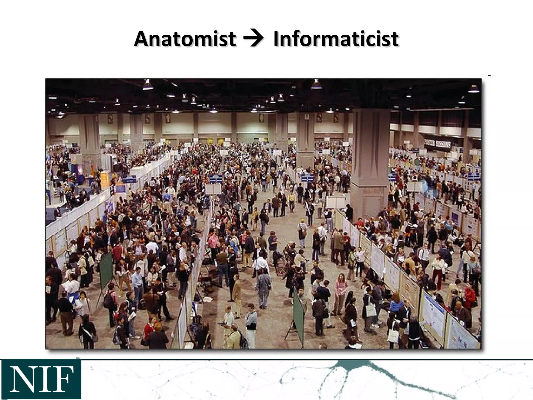 AnatomistAnatomist  InformaticistInformaticist
 