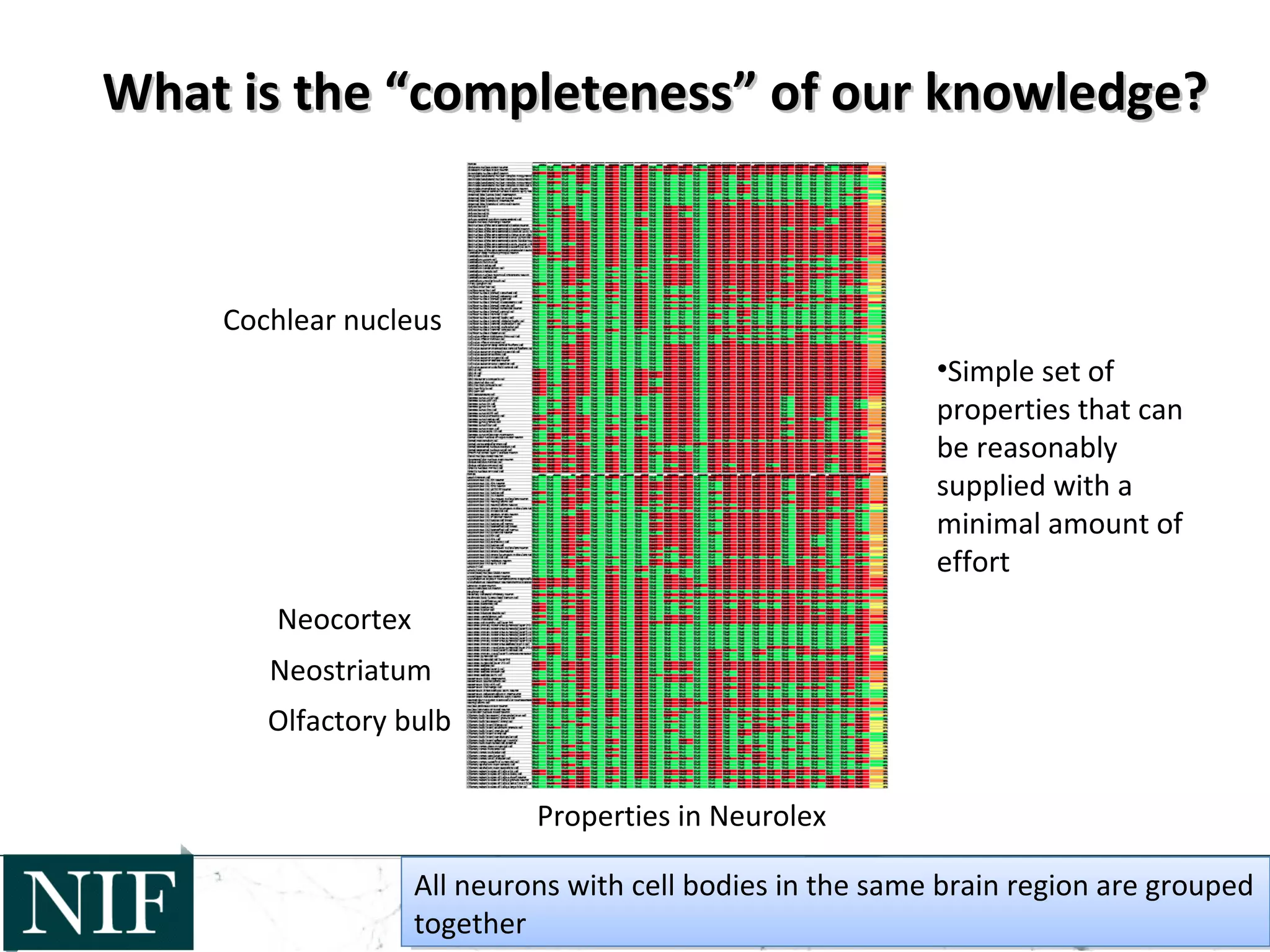 What is the “completeness” of our knowledge?What is the “completeness” of our knowledge?
Neocortex
Olfactory bulb
Neostriatum
Cochlear nucleus
All neurons with cell bodies in the same brain region are grouped
together
All neurons with cell bodies in the same brain region are grouped
together
Properties in Neurolex
•Simple set of
properties that can
be reasonably
supplied with a
minimal amount of
effort
 