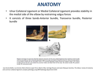 Ulnar Collateral Ligament Injury