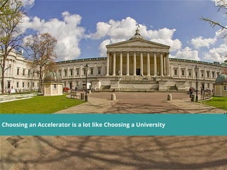 Choosing an Accelerator is a lot like Choosing a University
 