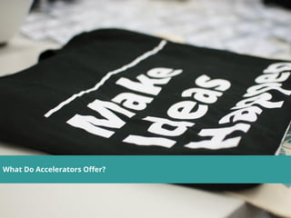What Do Accelerators Offer?
 