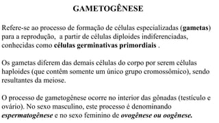 GAMETOGÊNESE
Refere-se ao processo de formação de células especializadas (gametas)
para a reprodução, a partir de células diploides indiferenciadas,
conhecidas como células germinativas primordiais .
Os gametas diferem das demais células do corpo por serem células
haploides (que contêm somente um único grupo cromossômico), sendo
resultantes da meiose.
O processo de gametogênese ocorre no interior das gônadas (testículo e
ovário). No sexo masculino, este processo é denominando
espermatogênese e no sexo feminino de ovogênese ou oogênese.
 
