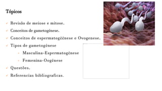 Tópicos
 Revisão de meiose e mitose.
 Conceitos de gametogénese.
 Conceitos de espermatogéénese e Ovogenese.
 Tipos de gametogénese
• Masculina-Espermatogénese
• Femenina-Oogénese
 Questões.
 Referencias bibliograficas.
 