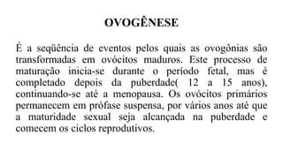 OVOGÊNESE
É a seqüência de eventos pelos quais as ovogônias são
transformadas em ovócitos maduros. Este processo de
maturação inicia-se durante o período fetal, mas é
completado depois da puberdade( 12 a 15 anos),
continuando-se até a menopausa. Os ovócitos primários
permanecem em prófase suspensa, por vários anos até que
a maturidade sexual seja alcançada na puberdade e
comecem os ciclos reprodutivos.
 