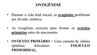OVOGÊNESE
• Durante a vida fetal inicial, as ovogônias proliferam
por divisão mitótica.
• As ovogônias crescem para formar os ovócitos
primários antes do nascimento.
• OVÓCITO PRIMÁRIO + Uma camada de células
epiteliais foliculares = FOLÍCULO
PRIMORDIAL.
 