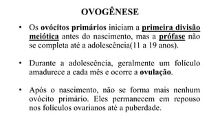OVOGÊNESE
• Os ovócitos primários iniciam a primeira divisão
meiótica antes do nascimento, mas a prófase não
se completa até a adolescência(11 a 19 anos).
• Durante a adolescência, geralmente um folículo
amadurece a cada mês e ocorre a ovulação.
• Após o nascimento, não se forma mais nenhum
ovócito primário. Eles permanecem em repouso
nos folículos ovarianos até a puberdade.
 