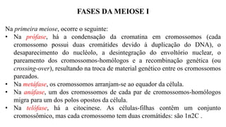 FASES DA MEIOSE I
Na primeira meiose, ocorre o seguinte:
• Na prófase, há a condensação da cromatina em cromossomos (cada
cromossomo possui duas cromátides devido à duplicação do DNA), o
desaparecimento do nucléolo, a desintegração do envoltório nuclear, o
pareamento dos cromossomos-homólogos e a recombinação genética (ou
crossing-over), resultando na troca de material genético entre os cromossomos
pareados.
• Na metáfase, os cromossomos arranjam-se ao equador da célula.
• Na anáfase, um dos cromossomos de cada par de cromossomos-homólogos
migra para um dos polos opostos da célula.
• Na telófase, há a citocinese. As células-filhas contêm um conjunto
cromossômico, mas cada cromossomo tem duas cromátides: são 1n2C .
 