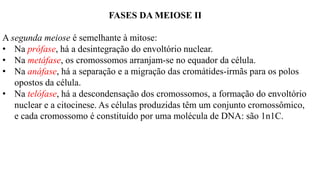 FASES DA MEIOSE II
A segunda meiose é semelhante à mitose:
• Na prófase, há a desintegração do envoltório nuclear.
• Na metáfase, os cromossomos arranjam-se no equador da célula.
• Na anáfase, há a separação e a migração das cromátides-irmãs para os polos
opostos da célula.
• Na telófase, há a descondensação dos cromossomos, a formação do envoltório
nuclear e a citocinese. As células produzidas têm um conjunto cromossômico,
e cada cromossomo é constituído por uma molécula de DNA: são 1n1C.
 