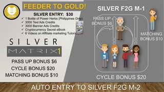S I L V E R
1
PASS UP BONUS $6
CYCLE BONUS $20
MATCHING BONUS $10
PASS UP
BONUS $6
CYCLE BONUS $20
MATCHING
BONUS $10
SILVER ENTRY: $30
 1 Bottle of Power Herbs (Philippines Only)
 3000 Text Ads Credits
 3000 Banner Ads Credits
 Cryptocurrency Secret eBook
 6 Videos on Affiliate marketing Tutorials
FEEDER TO GOLD!
AUTO ENTRY TO SILVER F2G M-2
SILVER F2G M-1
 