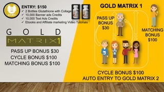 G O L D
1
PASS UP BONUS $30
CYCLE BONUS $100
MATCHING BONUS $100
PASS UP
BONUS
$30
CYCLE BONUS $100
AUTO ENTRY TO GOLD MATRIX 2
MATCHING
BONUS
$100
ENTRY: $150
 2 Bottles Glutathione with Collagen
 10,000 Banner ads Credits
 10,000 Text Ads Credits
 Ebooks and Affiliate marketing Video Tutorials
GOLD MATRIX 1
 