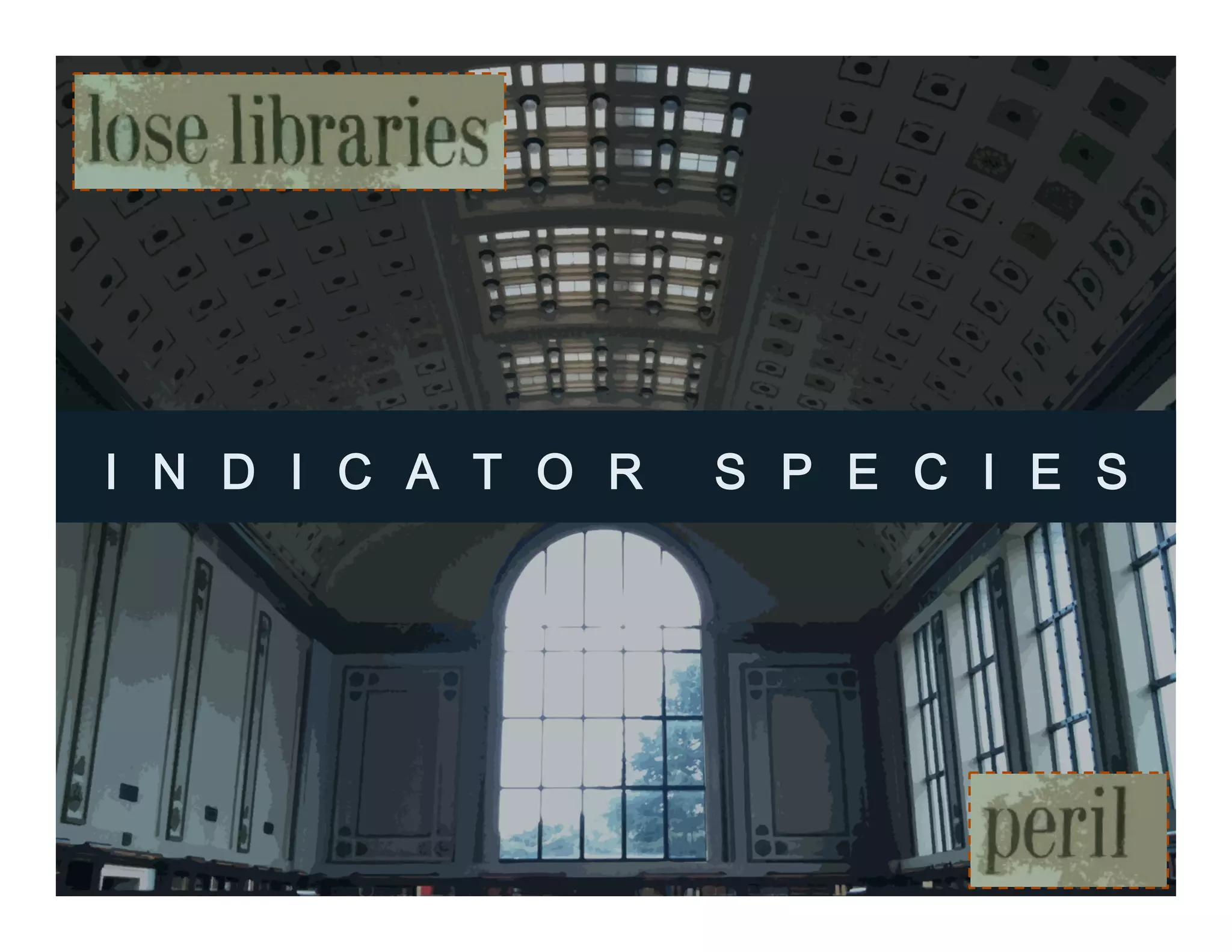 I N D I C A T O R S P E C I E S
 