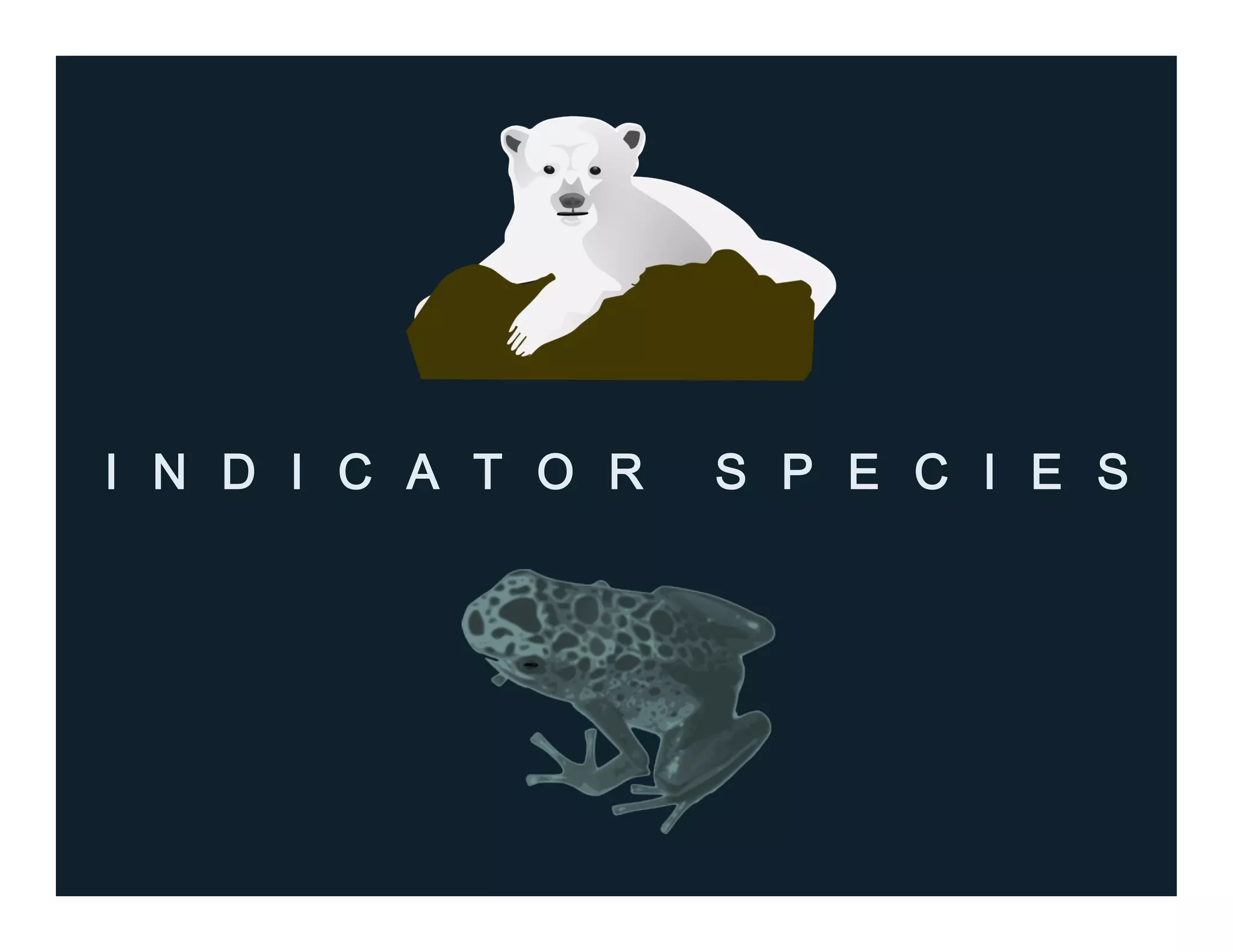 I N D I C A T O R S P E C I E S
 