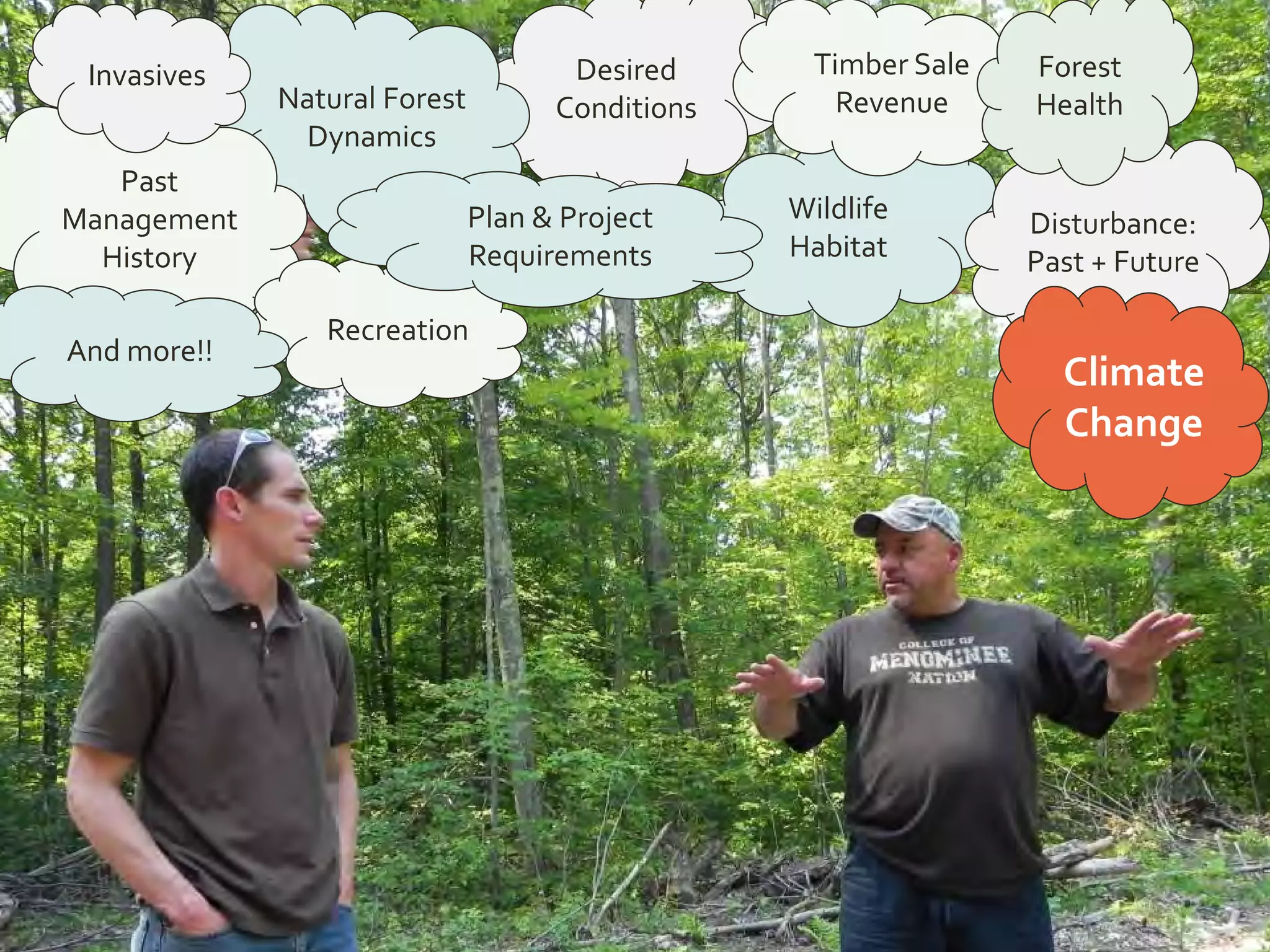 Desired
ConditionsNatural Forest
Dynamics
Wildlife
Habitat
Past
Management
History
Invasives Timber Sale
Revenue
Disturbance:
Past + Future
Recreation
Forest
Health
And more!!
Climate
Change
Plan & Project
Requirements
 