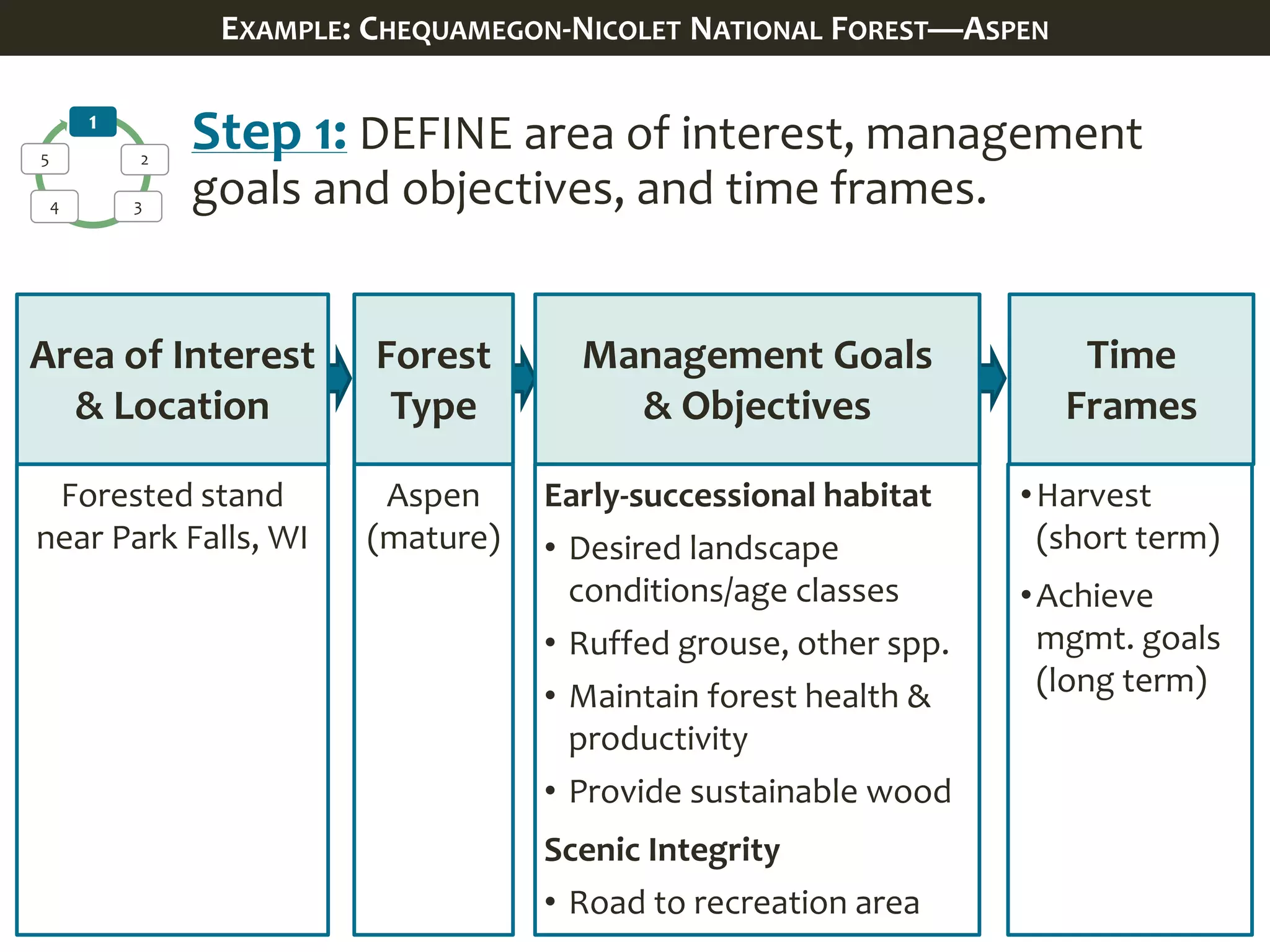1
2
34
5
Step 1: DEFINE area of interest, management
goals and objectives, and time frames.
Management Goals
& Objectives
Time
Frames
Early-successional habitat
• Desired landscape
conditions/age classes
• Ruffed grouse, other spp.
• Maintain forest health &
productivity
• Provide sustainable wood
Scenic Integrity
• Road to recreation area
•Harvest
(short term)
•Achieve
mgmt. goals
(long term)
Area of Interest
& Location
Forest
Type
Forested stand
near Park Falls, WI
Aspen
(mature)
EXAMPLE: CHEQUAMEGON-NICOLET NATIONAL FOREST—ASPEN
 