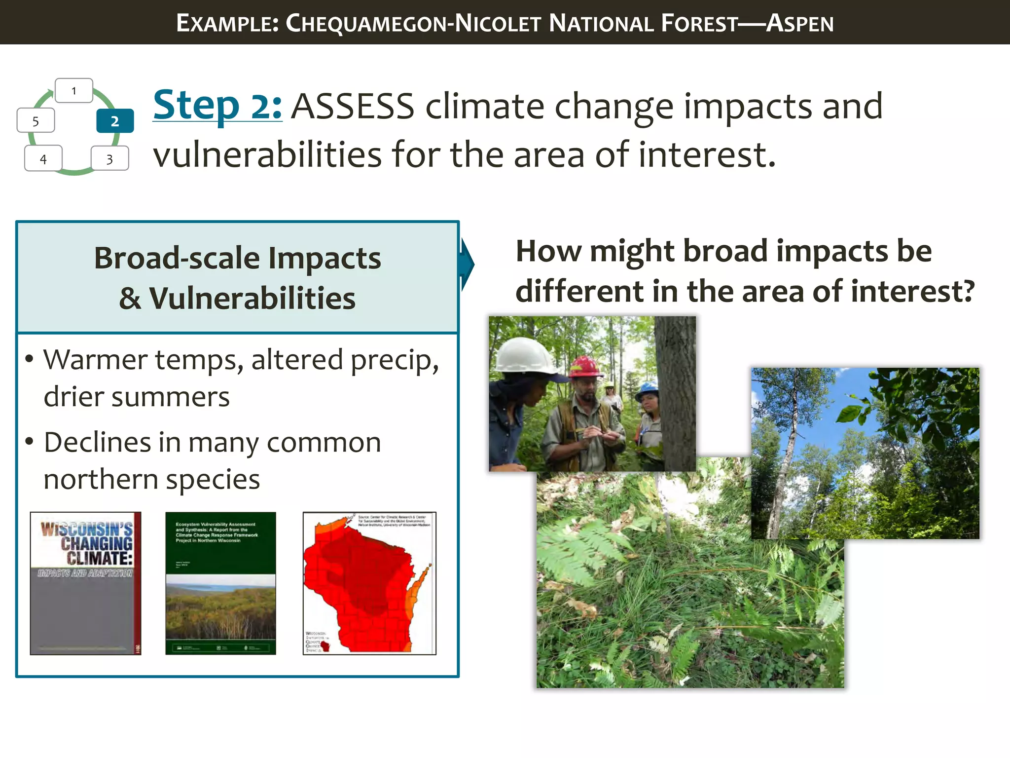 1
2
34
5
How might broad impacts be
different in the area of interest?
Step 2: ASSESS climate change impacts and
vulnerabilities for the area of interest.
Broad-scale Impacts
& Vulnerabilities
• Warmer temps, altered precip,
drier summers
• Declines in many common
northern species
EXAMPLE: CHEQUAMEGON-NICOLET NATIONAL FOREST—ASPEN
 