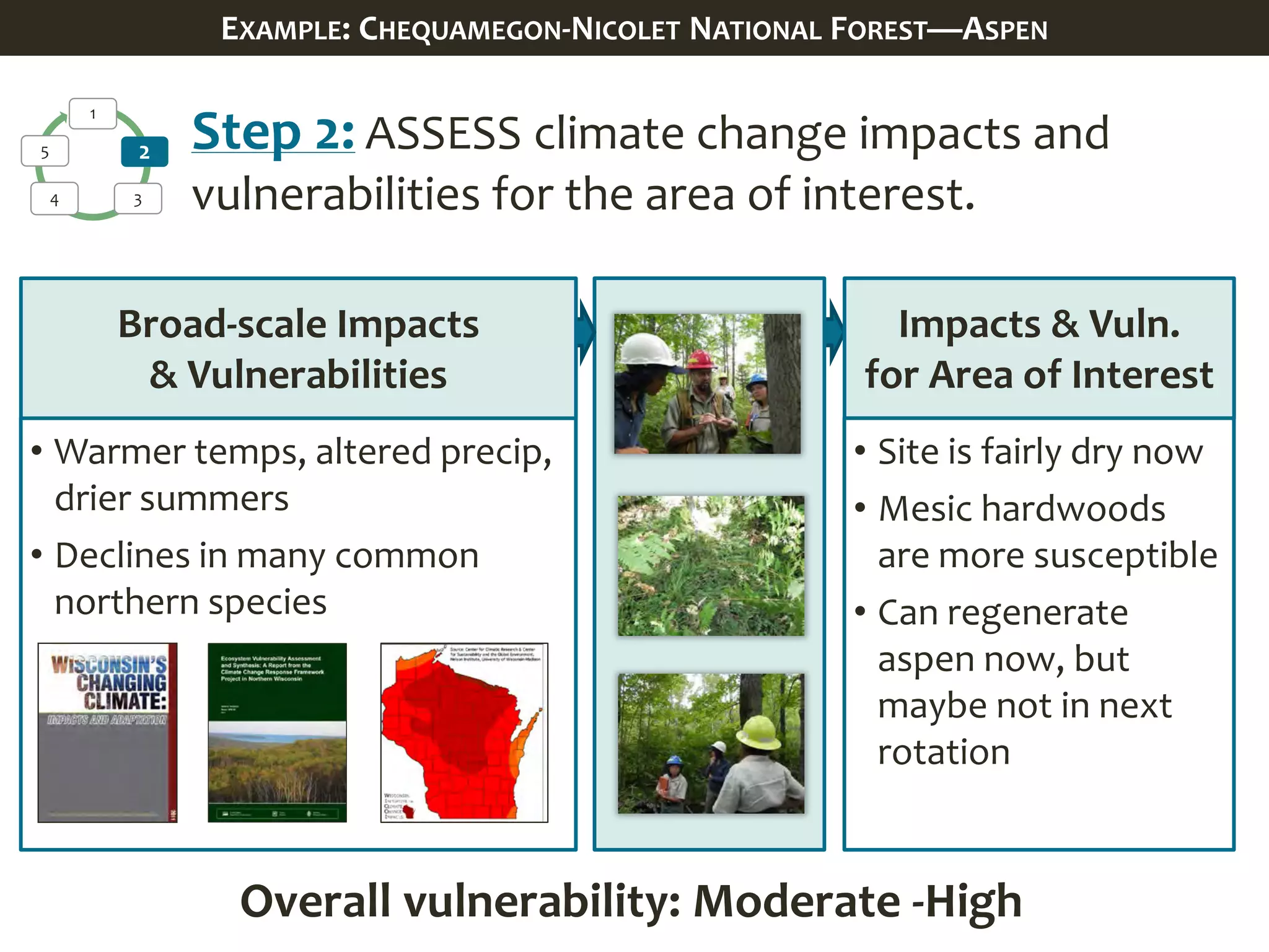 1
2
34
5
Impacts & Vuln.
for Area of Interest
• Site is fairly dry now
• Mesic hardwoods
are more susceptible
• Can regenerate
aspen now, but
maybe not in next
rotation
Overall vulnerability: Moderate -High
Step 2: ASSESS climate change impacts and
vulnerabilities for the area of interest.
Broad-scale Impacts
& Vulnerabilities
• Warmer temps, altered precip,
drier summers
• Declines in many common
northern species
EXAMPLE: CHEQUAMEGON-NICOLET NATIONAL FOREST—ASPEN
 