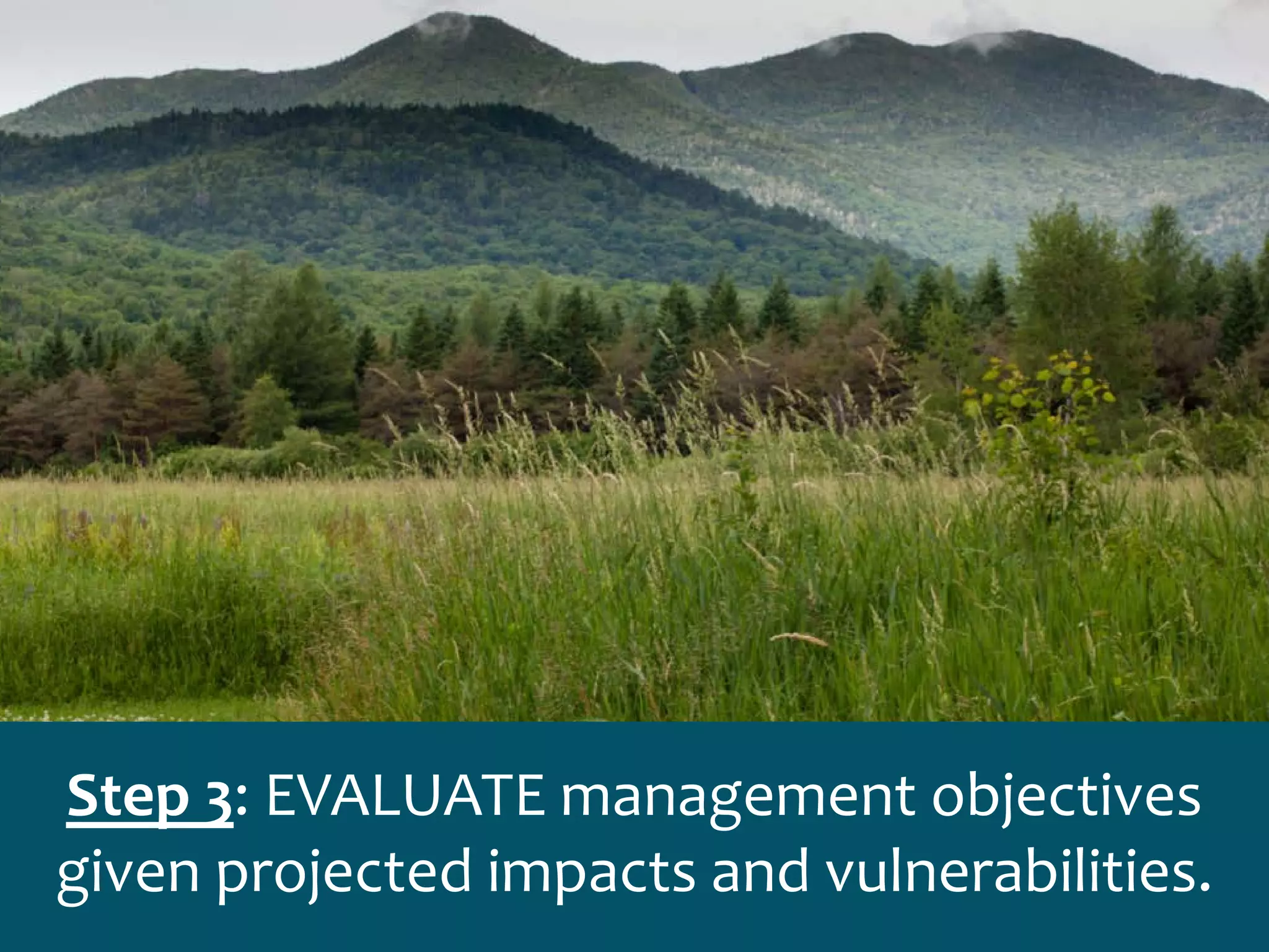 Step 3: EVALUATE management objectives
given projected impacts and vulnerabilities.
 