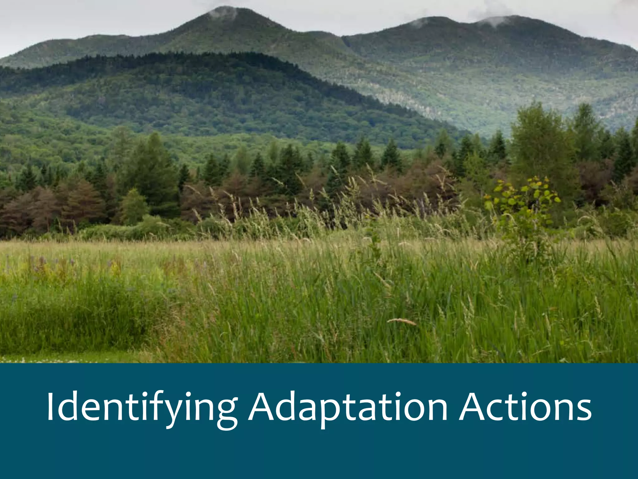 Identifying Adaptation Actions
 