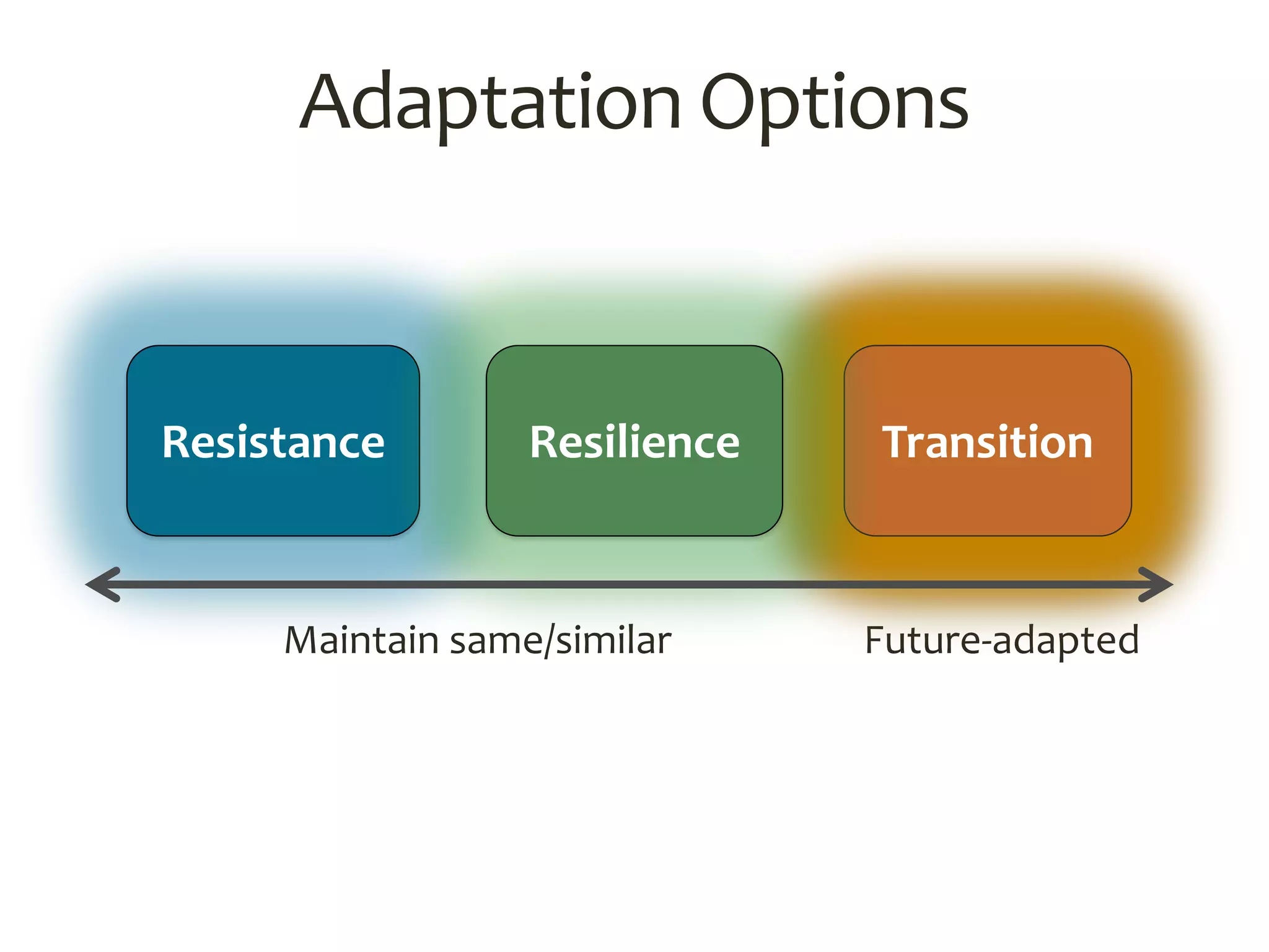 Adaptation Options
Maintain same/similar Future-adapted
Resistance TransitionResilience
 