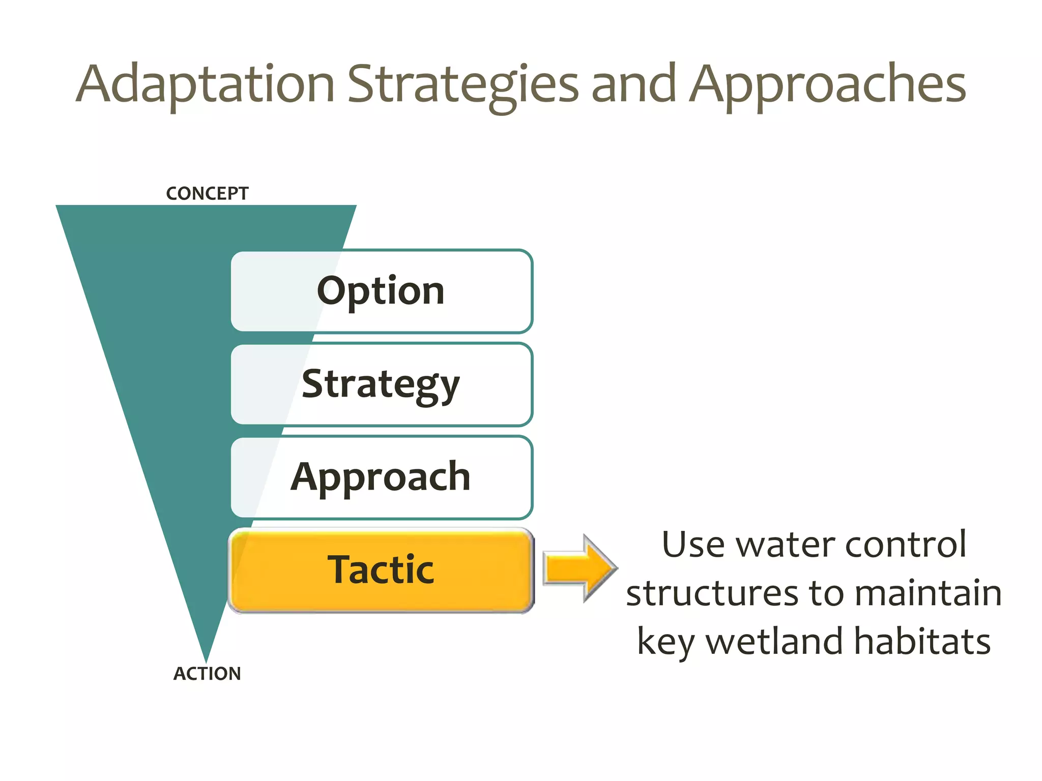Option
Strategy
Approach
Tactic
ACTION
Adaptation Strategies and Approaches
CONCEPT
Use water control
structures to maintain
key wetland habitats
 