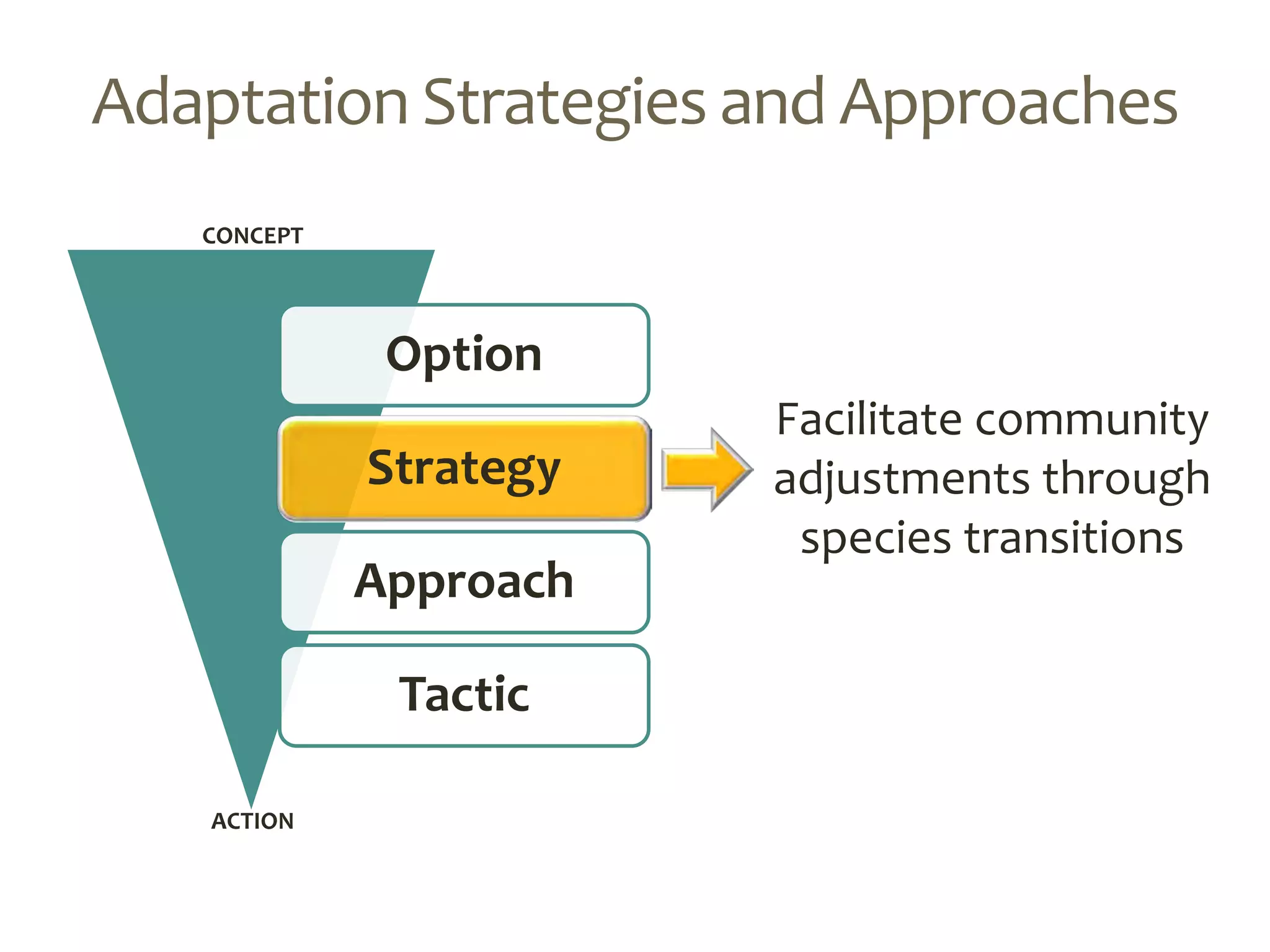 Option
Strategy
Approach
Tactic
ACTION
Adaptation Strategies and Approaches
Facilitate community
adjustments through
species transitions
CONCEPT
 